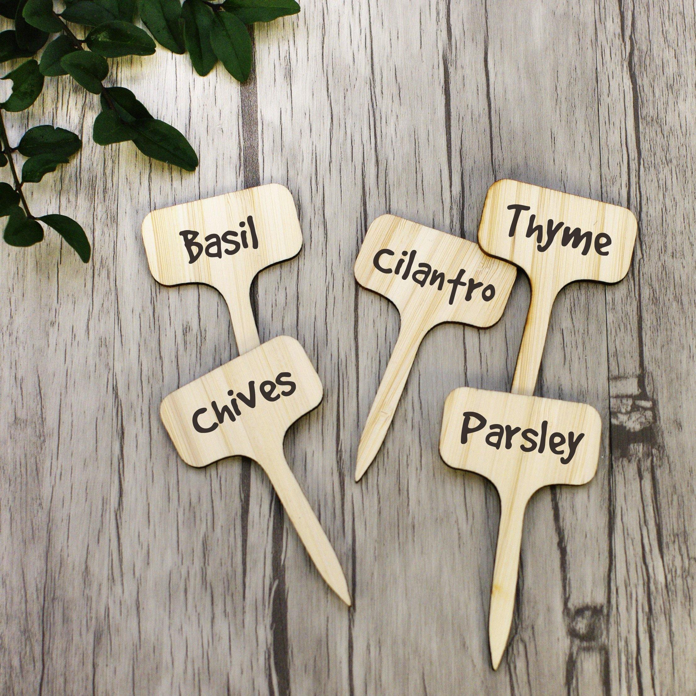 Blank Wooden Plant Label Signs