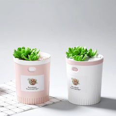 Mini Succulent USB Humidifier